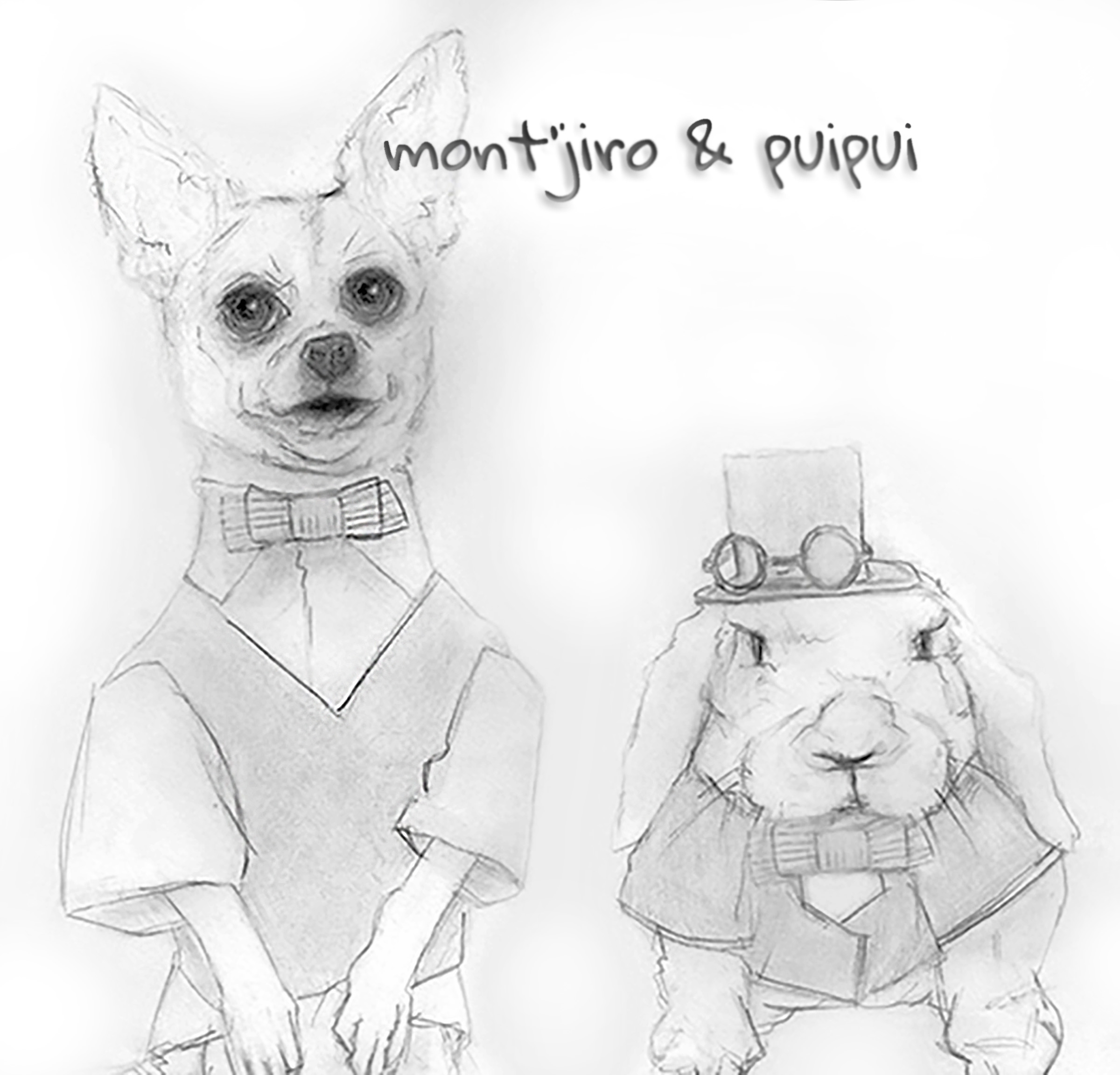 mont'jiro the chihuahua & puipui the rabbit - cute circus creature couture follow feature