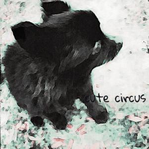 being nature's congratulation - august 9th, 2013 (snapseed app) cute circus photography