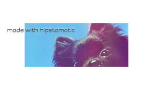 hipstamatic app - cute circus blog