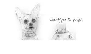 mont'jiro the chihuahua & puipui the rabbit - cute circus blog